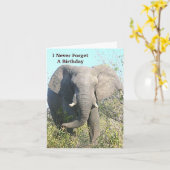 CARTE ÉLÉPHANT MARCHANT VERS L'APPAREIL PHOTO (Fleur jaune)