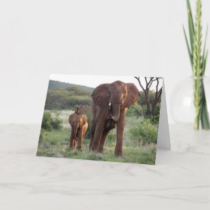 Carte Elephant with Calf Card
