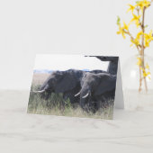 Carte Éléphants (Fleur jaune)