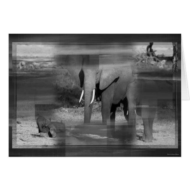 Carte Eléphants (Devant horizontal)