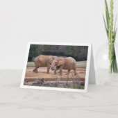 Carte Eléphants africains (Devant)