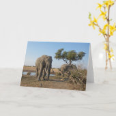 CARTE ÉLÉPHANTS AU POINT D'EAU  (Fleur jaune)