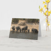 Carte Éléphants buvant de la rivière de Chobe (Fleur jaune)