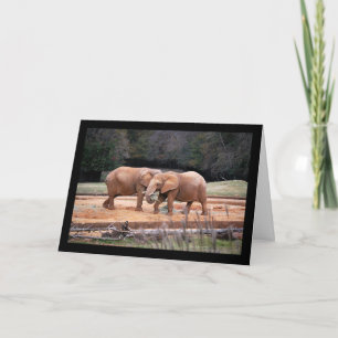 Carte Éléphants d'Afrique