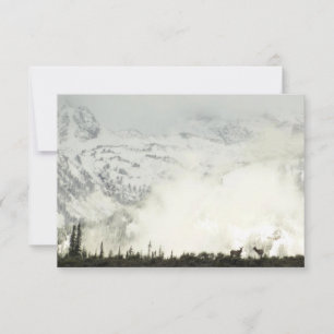 Carte Elk at Grand Teton National Park Photographie