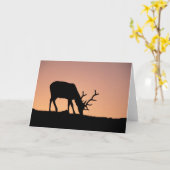 Carte Elk | Parc national des Rocheuses, Colorado (Fleur jaune)