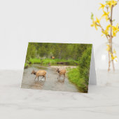 Carte Elks traversant le fleuve Colorado (Fleur jaune)