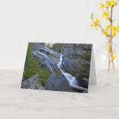 Carte Ella Falls dans le parc national de Sequoia (Fleur jaune)