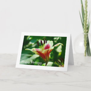 Carte Elle marche dans la beauté....