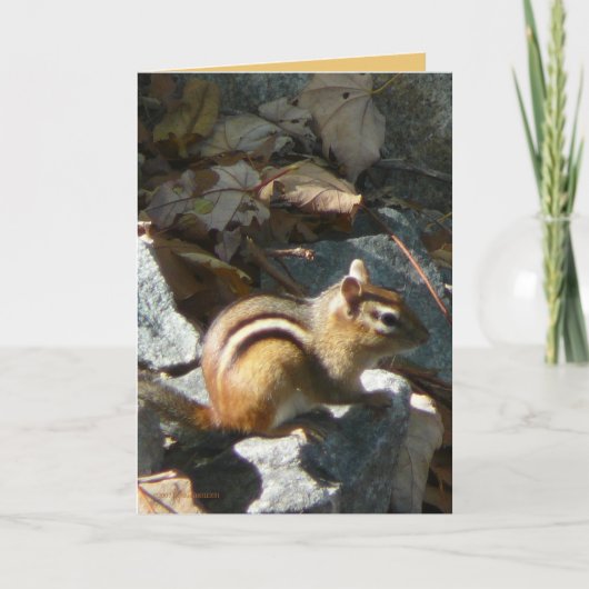 Carte Elle s'est arrêtée (Devant)