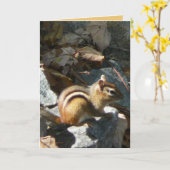 Carte Elle s'est arrêtée (Fleur jaune)