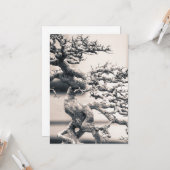 Carte Elm chinois (Devant/Arrière en situation)