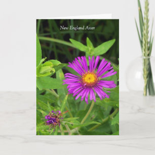 Carte Embrasse sans câlin... Devis de jardinage