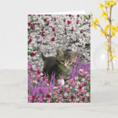 Carte Emma en fleurs I - petit chaton gris (Fleur jaune)