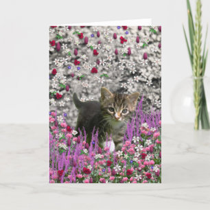 Carte Emma en fleurs I - petit chaton gris