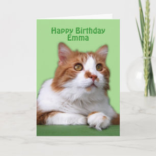 Carte Emma Joyeux Anniversaire Chat orange et blanc