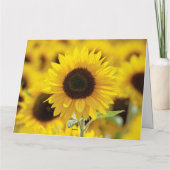 Carte Empath Shine Positive Encouragement Citation (Dos)