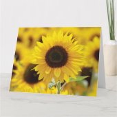 Carte Empath Strength Positive Citation Encouragement (Dos)