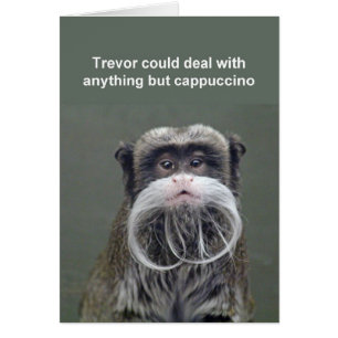 Carte Empereur tamarin