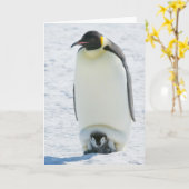 Carte Emperor Penguin with Chick-note card (Fleur jaune)