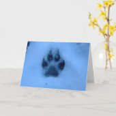 Carte Empreinte de patte (Fleur jaune)