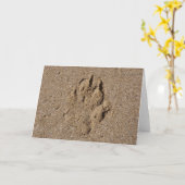 Carte Empreinte de patte de chien dans le sable (Fleur jaune)