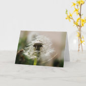 CARTE EN003 (Fleur jaune)
