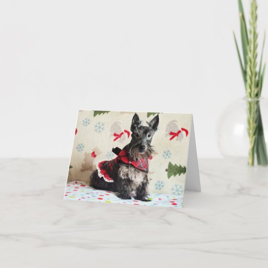 Carte En Attendant Santa Paws (Devant)