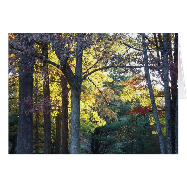 carte en bois (Devant horizontal)