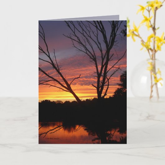 Carte En couleur complète (Fleur jaune)