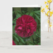 Carte En pleine floraison (Fleur jaune)