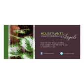 Carte en rack Angels Houseplant (Dos)