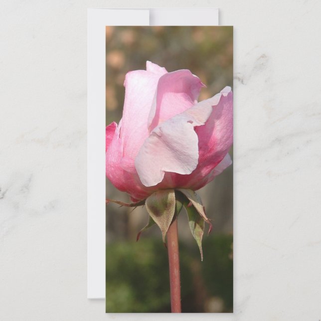 Carte en rack de beauté/Signet (Devant)