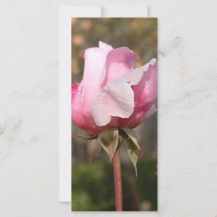Carte en rack de beauté/Signet