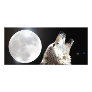 Carte en rack Wolf & Moon