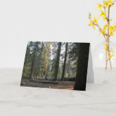 Carte En sierra Neveda (Fleur jaune)