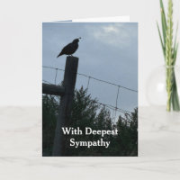 En Sympathie la plus profonde Californie Quail Bir