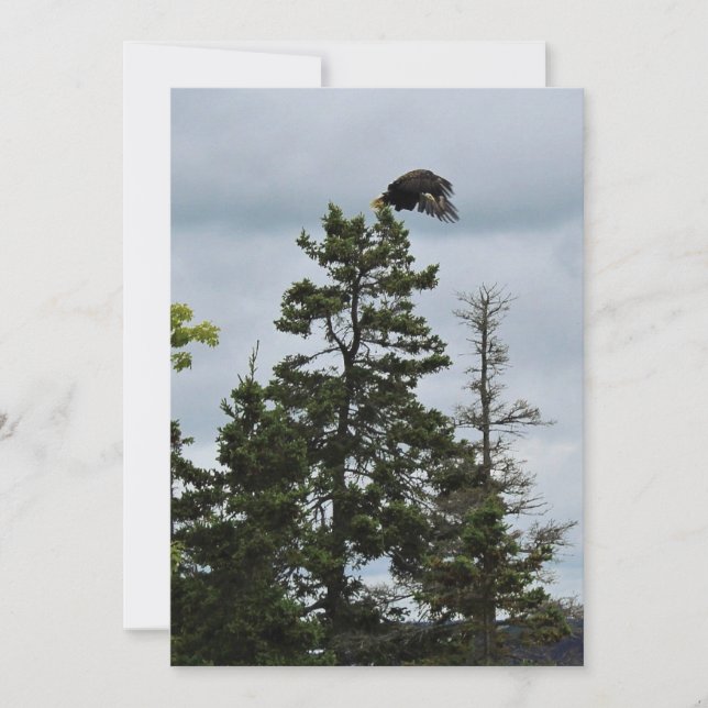 Carte En vol (Devant)