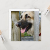 Carte encadré (Devant/Arrière en situation)