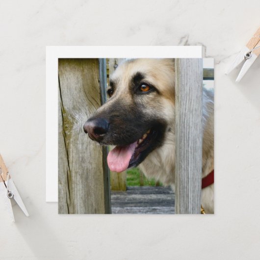 Carte encadré (Devant/Arrière en situation)