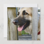 Carte encadré (Devant)