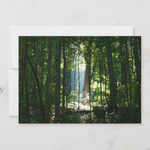 Carte Enchanté, Mystérieux, Beau