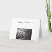 Carte Encouragement Apple Blossom (Dos)