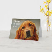 Carte Encouragement/ Bien S'Attaquer Golden Retriever Do (Fleur jaune)