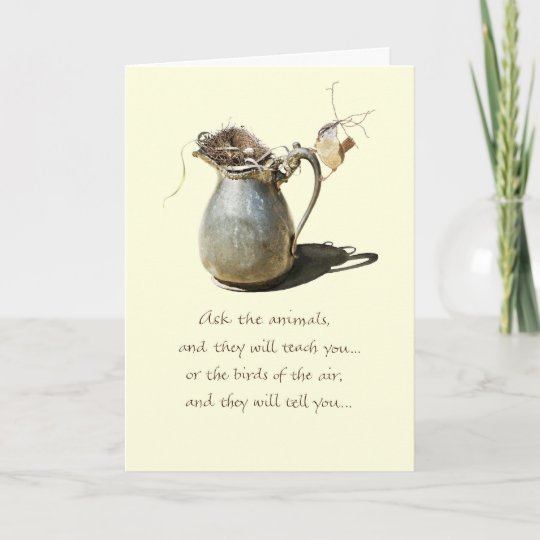 Carte Encouragement Broc De Roitelet Zazzle Be