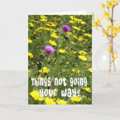 Carte Encouragement - Chardons drôles (Fleur jaune)