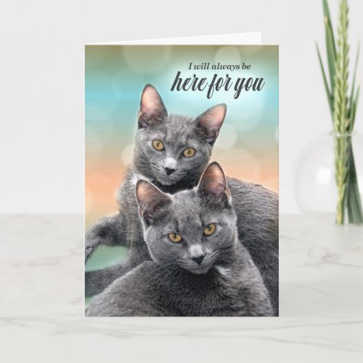 Carte Encouragement de deux chats gris ici pour vous (Devant)