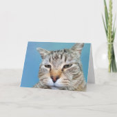 Carte Encouragement du cancer du chat agacé (Devant)