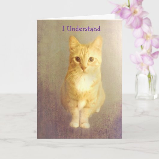 Carte Encouragement du cancer du chat orange (Orchidée)