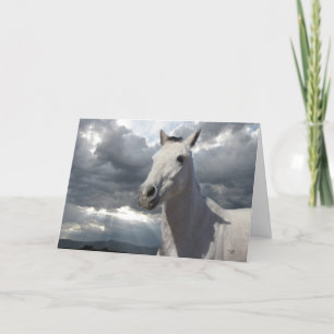 Carte Encouragement Horse Storm Card - Western